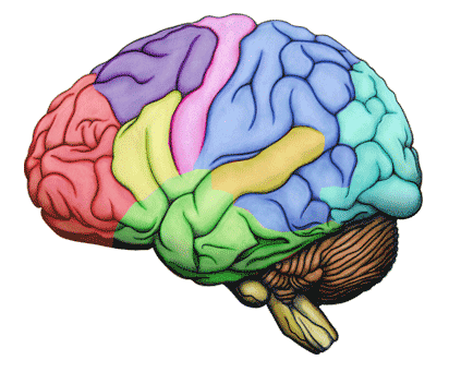 Psychologie. Ce à quoi on pense pendant les explications de règles de jeu.