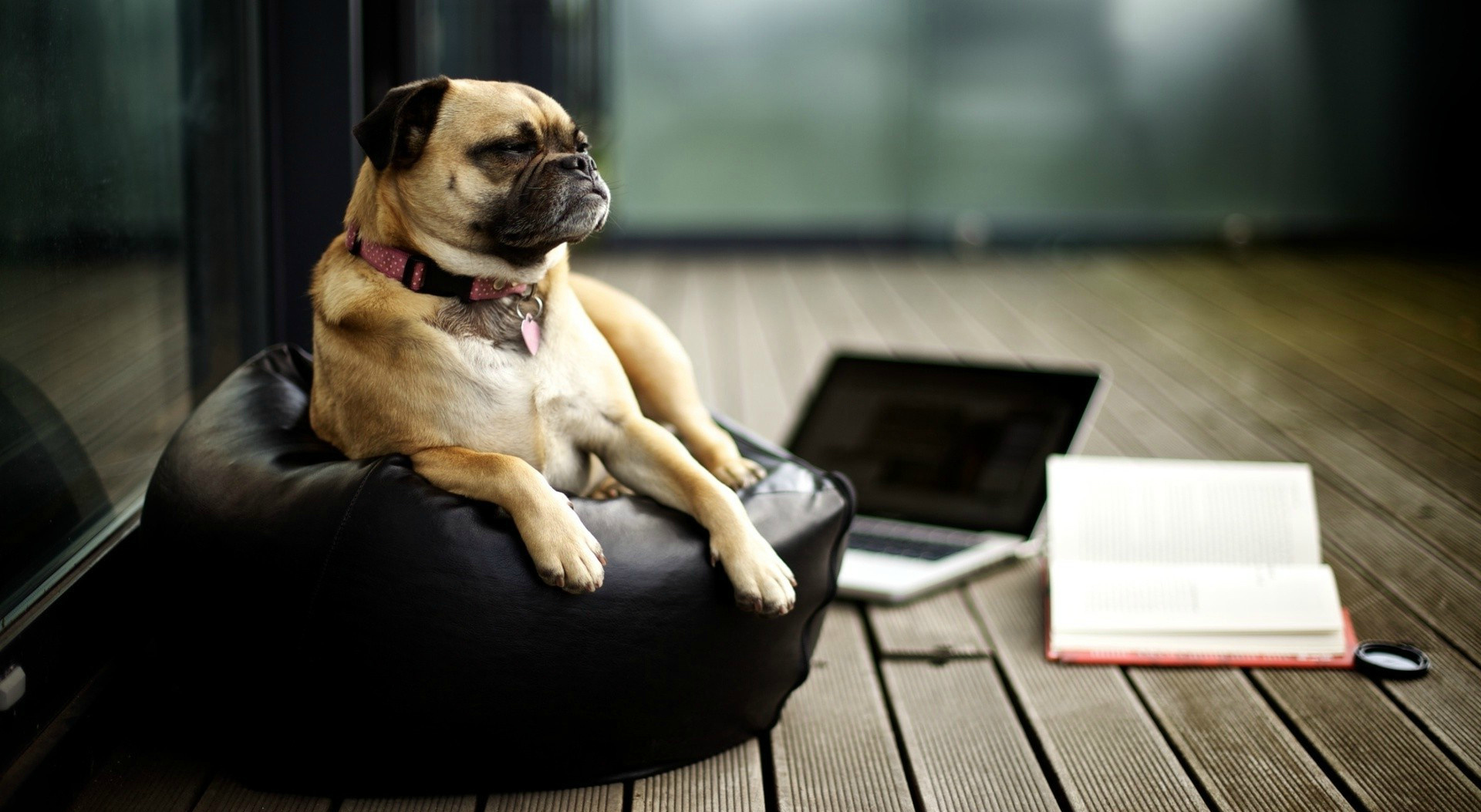 Ces podcasts qui vont vous rendre encore plus intelligents