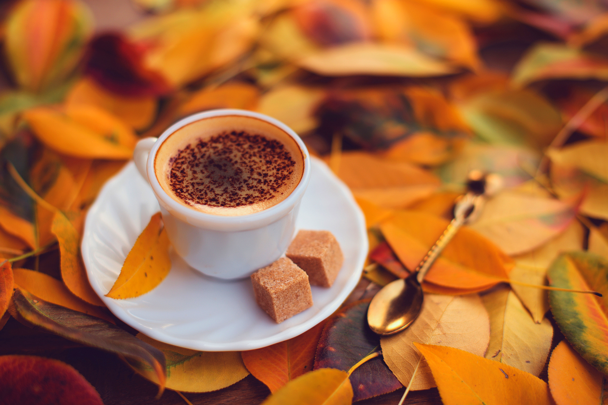 ☕ Vous êtes unique. Nos soirées aussi