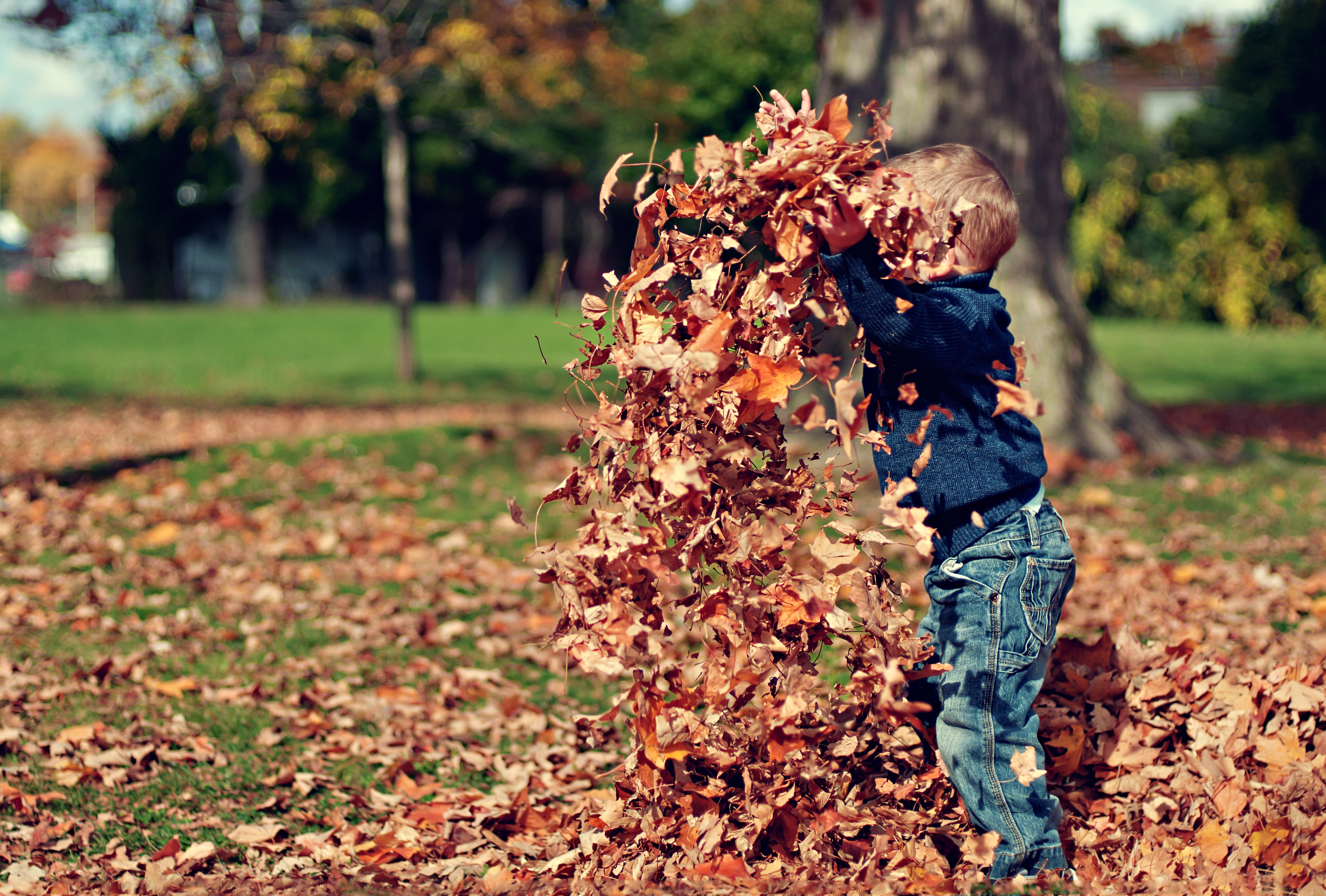 Faut-il laisser gagner vos enfants aux jeux ? La réponse (neuro) scientifique