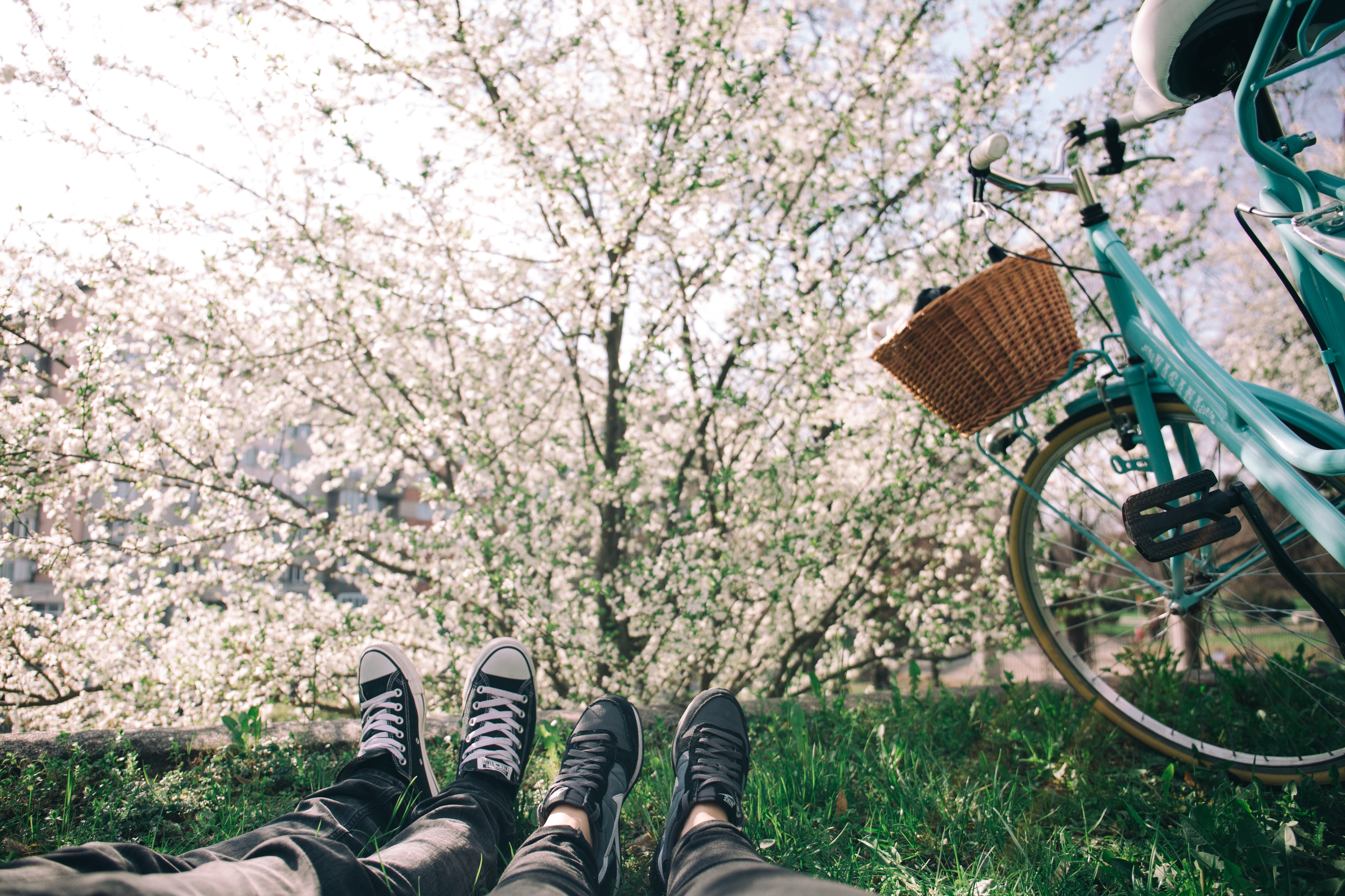 C&rsquo;est le printemps! Ces passionnants jeux botaniques 🌷 qui fleurissent nos plateaux