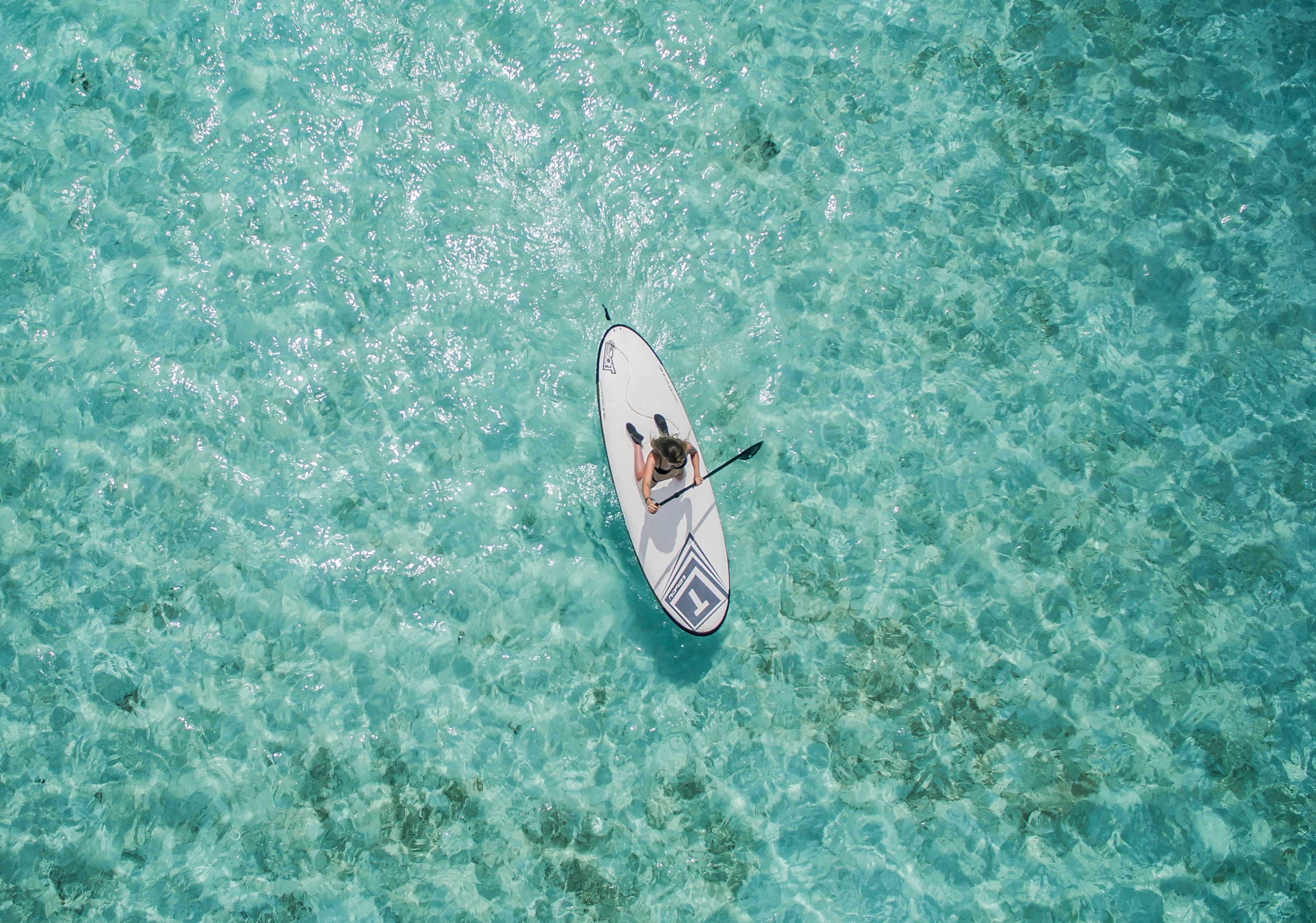 C’est l’hiver. Envie de plonger dans la mer pour vous réchauffer ? Voici 3 jeux de société qui vous donneront envie