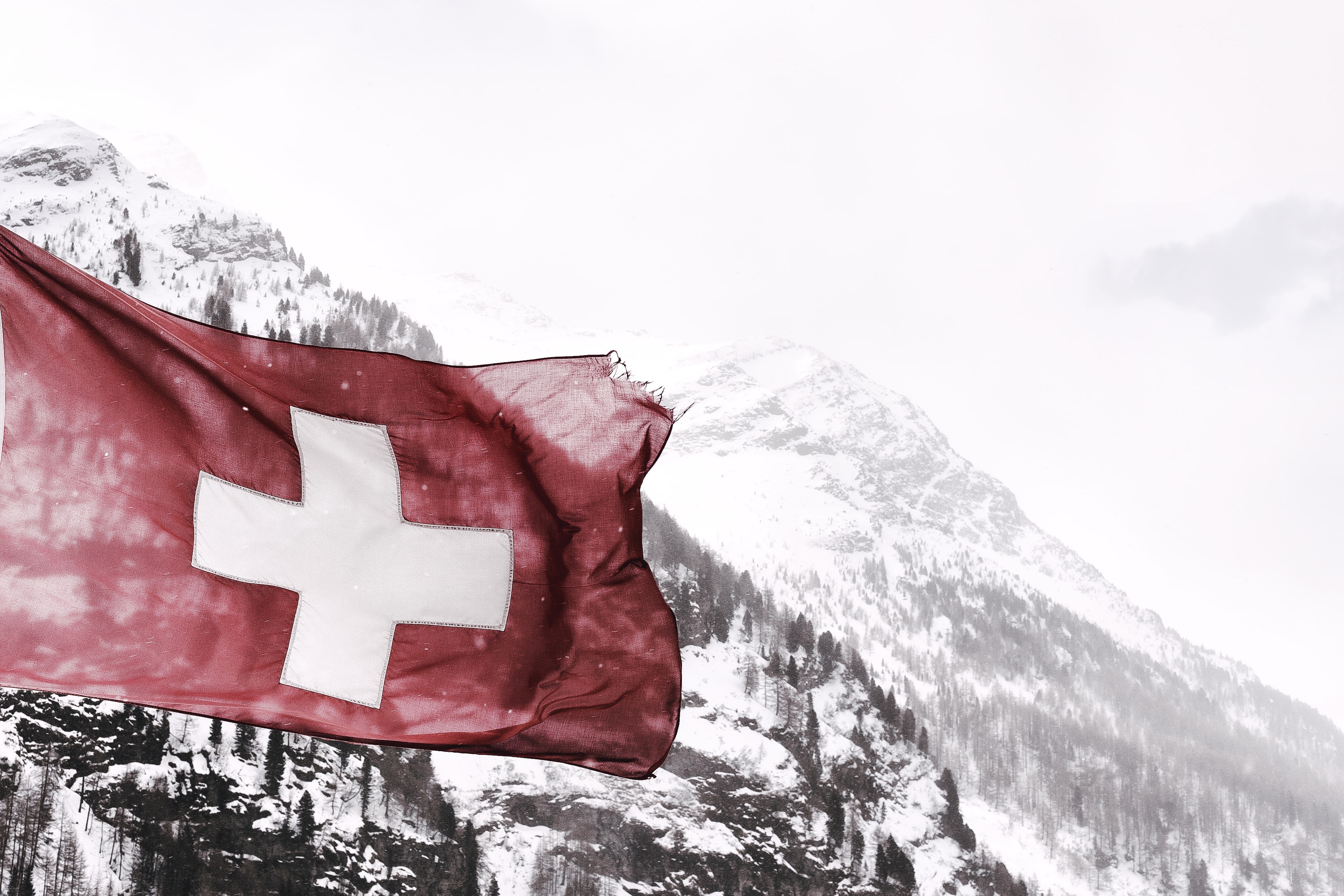 Et les jeux nommés pour les deux Swiss Gamers Awards sont…