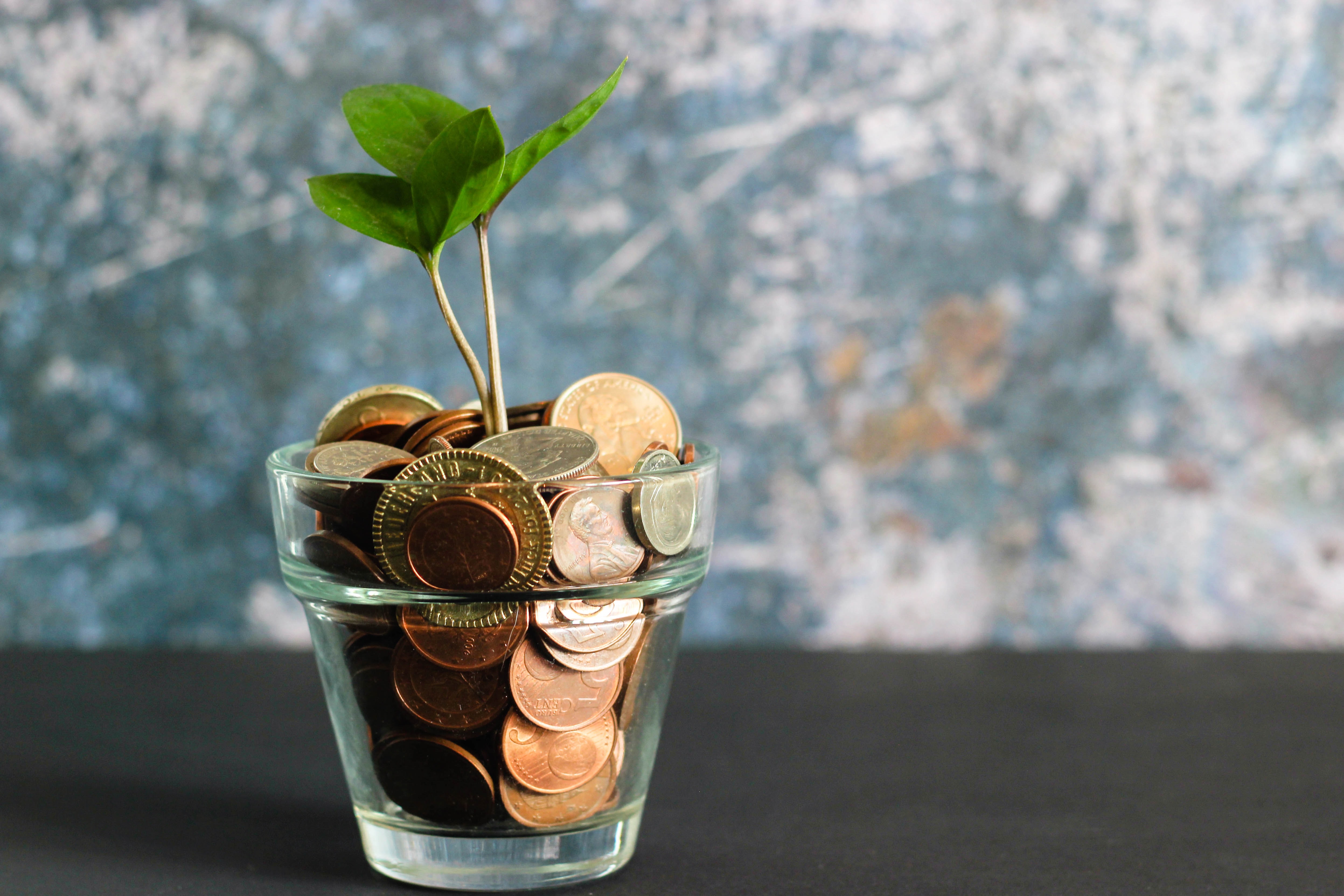 Financement participatif. L&rsquo;économie sauvage des jeux de plateau