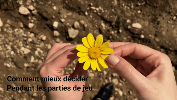 Comment prendre de meilleures décisions pendant nos parties de jeux de plateau