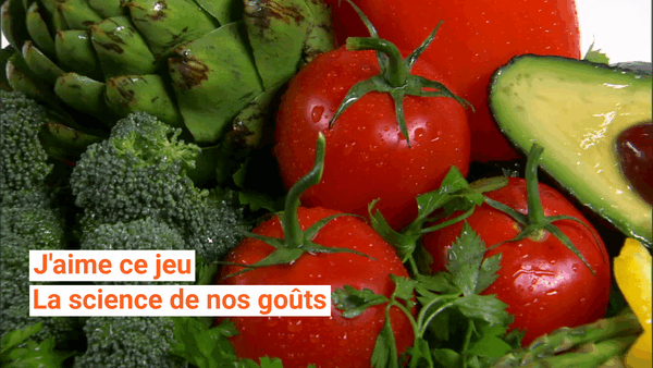 J&rsquo;aime ce jeu, beaucoup, passionnément, à la folie, pas du tout. La psychologie complexe du goût
