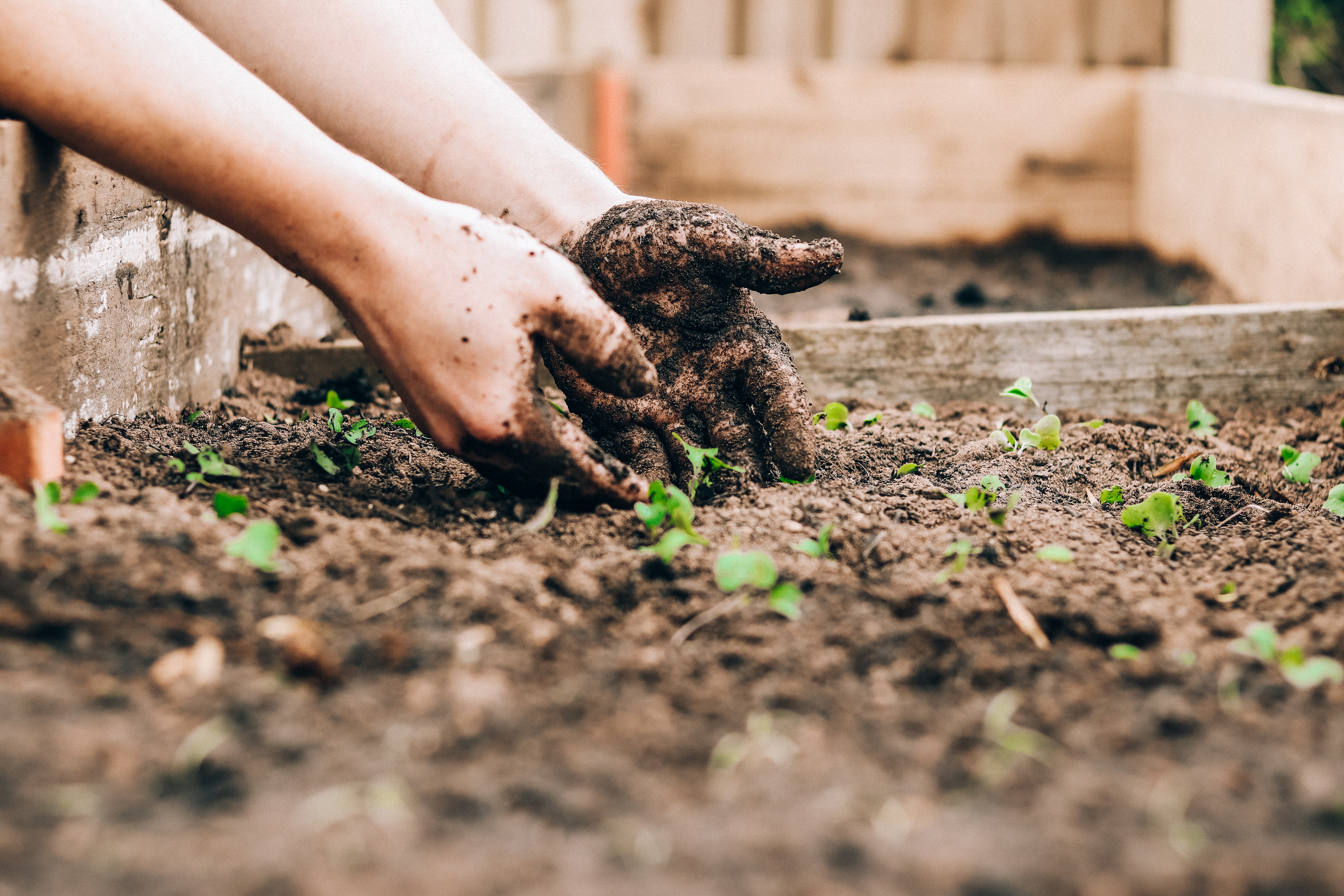 Nos 5 jeux de société préférés de jardin