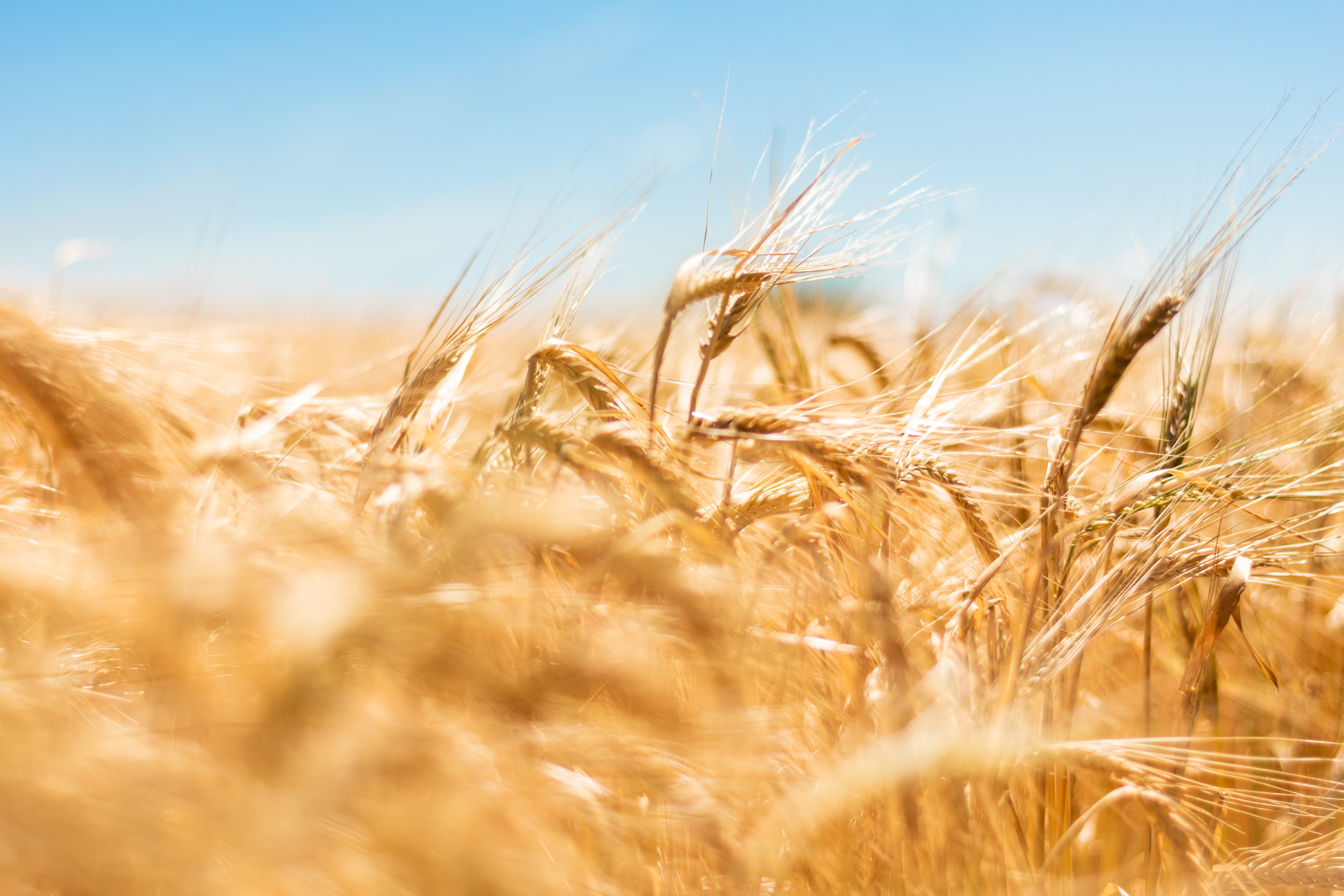Agriculture. Nos 10 jeux de société préférés