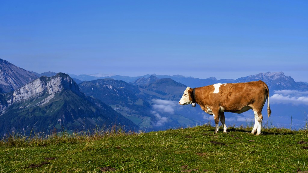 Swiss Gamers Award 2025 : Trois cloches, trois jeux, un signal