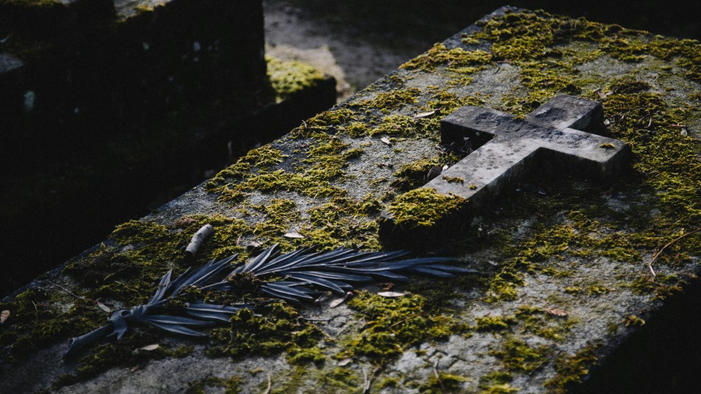 Into the Godsgrave : Trois ans d’attente, puis la VF annulée