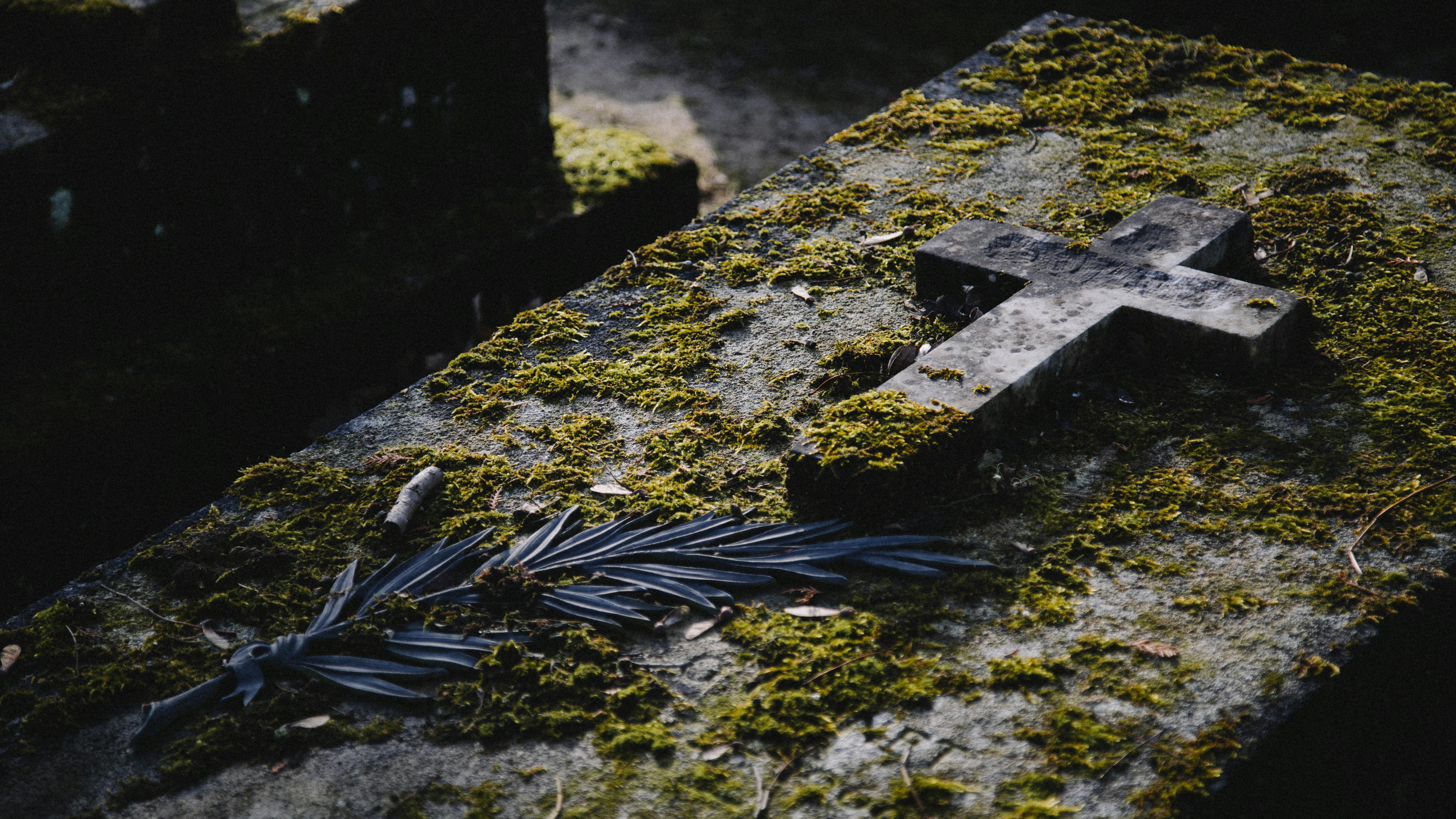 Photo by Kenny Orr on Unsplash, into the godsgrave, article bannière